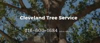 Cleveland Tree Service image 11